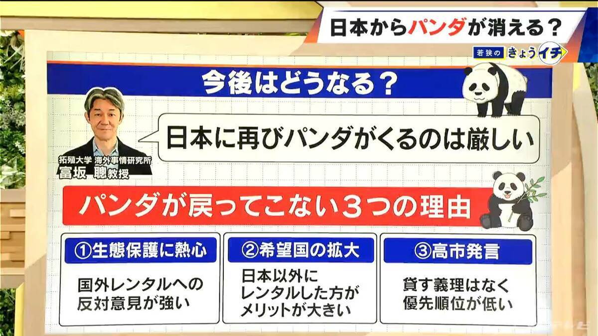 日本からパンダが消える？来年1月から｢ゼロパンダ｣状態に…パンダが再び日本に来るのが厳しい“3つの理由”も