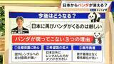 「日本からパンダが消える？来年1月から｢ゼロパンダ｣状態に…パンダが再び日本に来るのが厳しい“3つの理由”も」の画像8