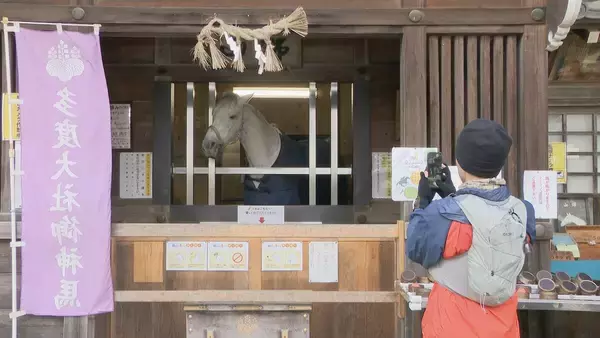来年の干支「午年」にちなんだ書を多度大社に奉納　天に駆け上がるようなイメージで…　三重・桑名市