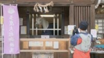 来年の干支「午年」にちなんだ書を多度大社に奉納　天に駆け上がるようなイメージで…　三重・桑名市