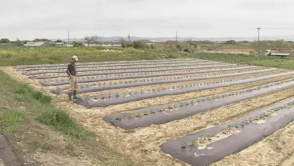 ダムの水回復で節水緩和も…愛知県は引き続き田植えの延期を要請　農家は「遅らせると苗が傷んで生育が悪くなる」