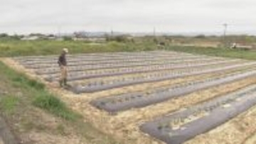 ダムの水回復で節水緩和も…愛知県は引き続き田植えの延期を要請　農家は「遅らせると苗が傷んで生育が悪くなる」