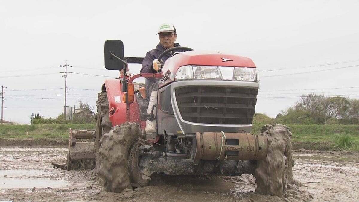 ダムの水回復で節水緩和も…愛知県は引き続き田植えの延期を要請　農家は「遅らせると苗が傷んで生育が悪くなる」