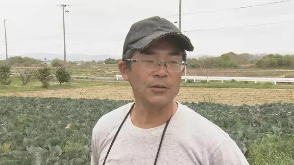 「ダムの水回復で節水緩和も…愛知県は引き続き田植えの延期を要請　農家は「遅らせると苗が傷んで生育が悪くなる」」の画像