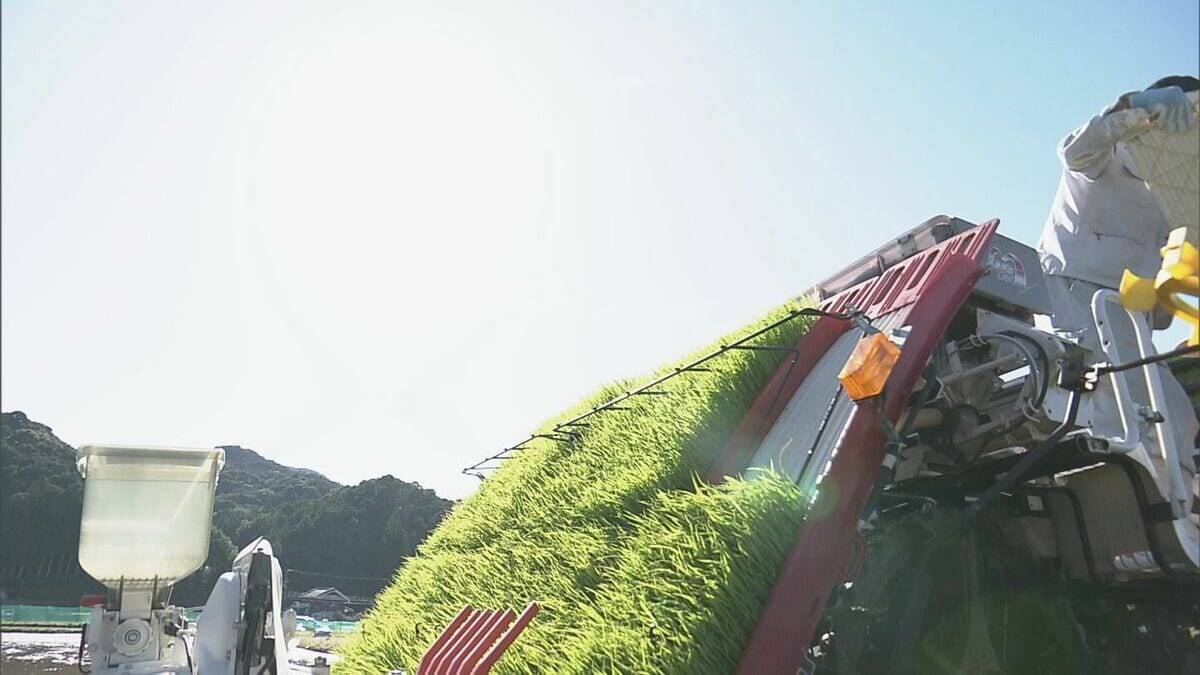 ダムの水回復で節水緩和も…愛知県は引き続き田植えの延期を要請　農家は「遅らせると苗が傷んで生育が悪くなる」