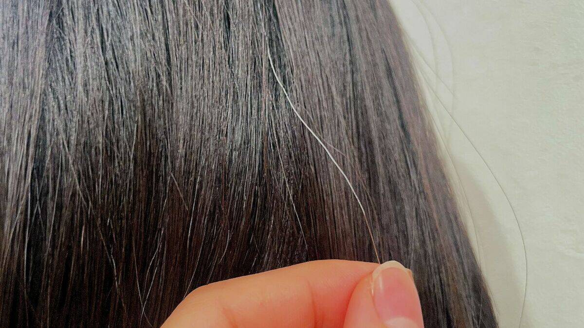 一度｢白髪｣になった毛は｢黒髪｣に戻る？白髪を抜くと増えるは本当？なぜ白髪は太く見えるの？美容院でのヘアカラーとセルフは何が違う？身近な疑問を徹底調査