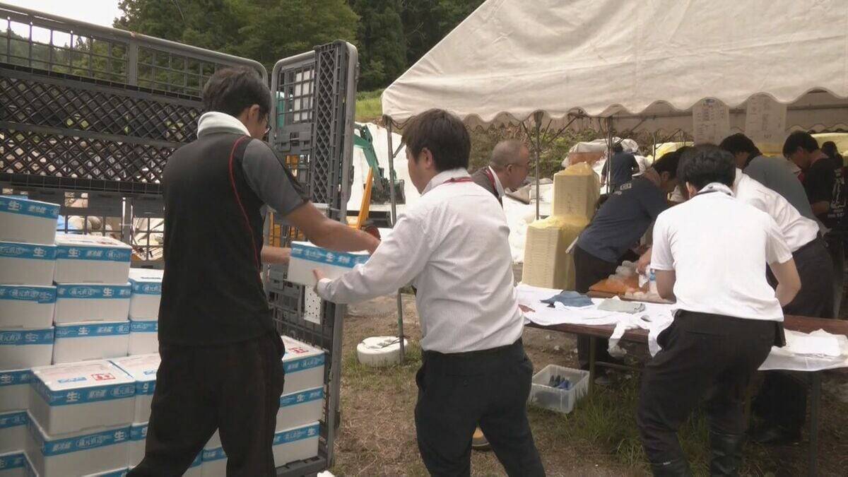 夏の贈り物として人気の“雪中酒” 真夏に本物の雪… ｢溶けないように早く｣ 汗だくで出荷作業 岐阜･飛騨市