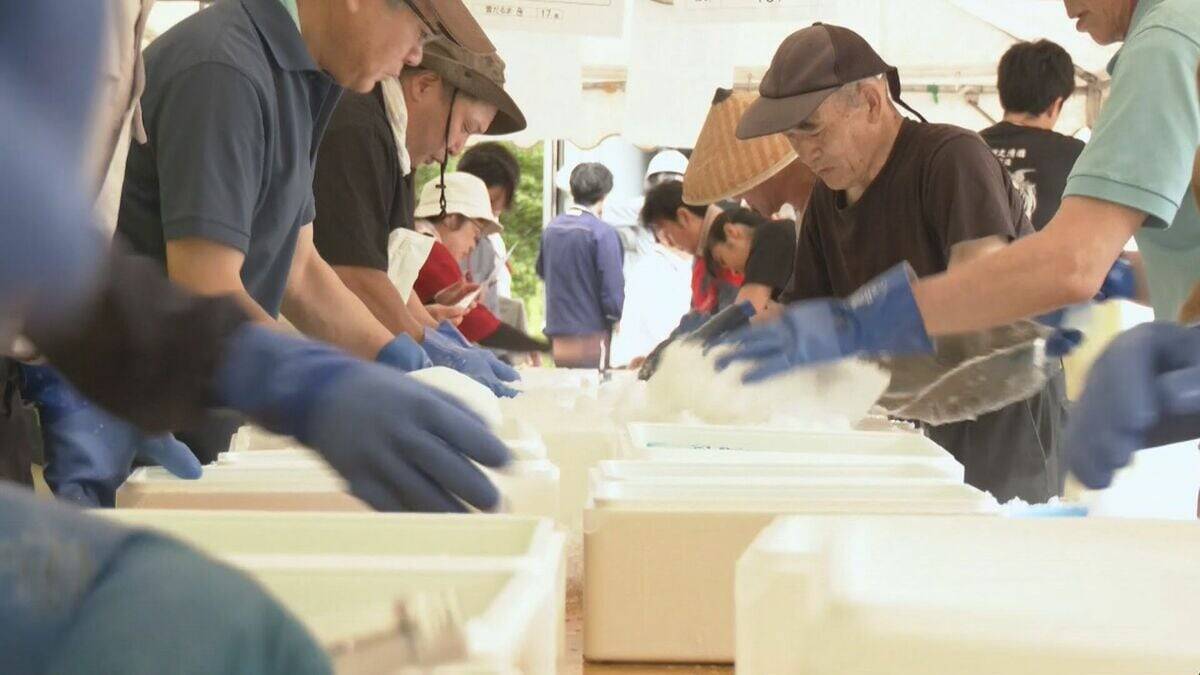 夏の贈り物として人気の“雪中酒” 真夏に本物の雪… ｢溶けないように早く｣ 汗だくで出荷作業 岐阜･飛騨市
