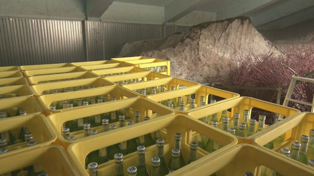 夏の贈り物として人気の“雪中酒” 真夏に本物の雪… ｢溶けないように早く｣ 汗だくで出荷作業 岐阜･飛騨市