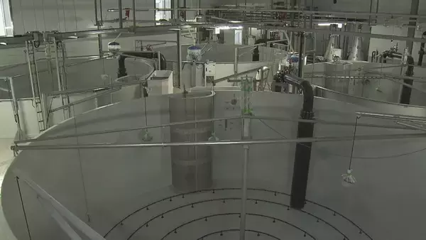 「輸入サーモンより安く!? “世界最大級”の陸上養殖施設 ふ化から加工まで全てを三重･津市で 2027年末までに完成目指す」の画像