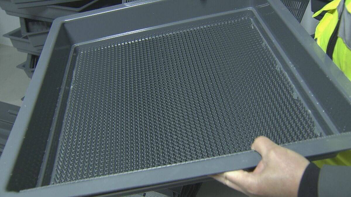 輸入サーモンより安く!? “世界最大級”の陸上養殖施設 ふ化から加工まで全てを三重･津市で 2027年末までに完成目指す