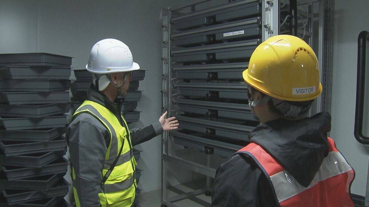 輸入サーモンより安く!? “世界最大級”の陸上養殖施設 ふ化から加工まで全てを三重･津市で 2027年末までに完成目指す