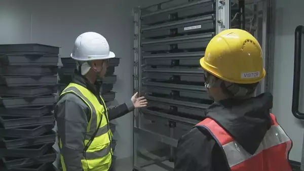 「輸入サーモンより安く!? “世界最大級”の陸上養殖施設 ふ化から加工まで全てを三重･津市で 2027年末までに完成目指す」の画像