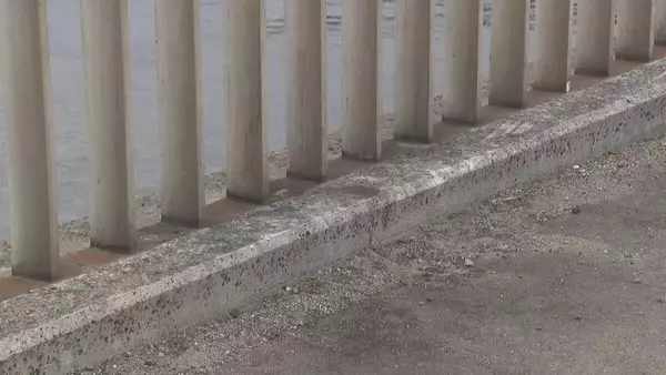 「名古屋・金城ふ頭の「金城橋」で若い男性が倒れているのが見つかる　後に死亡を確認　警察が身元と事件性の有無など捜査」の画像