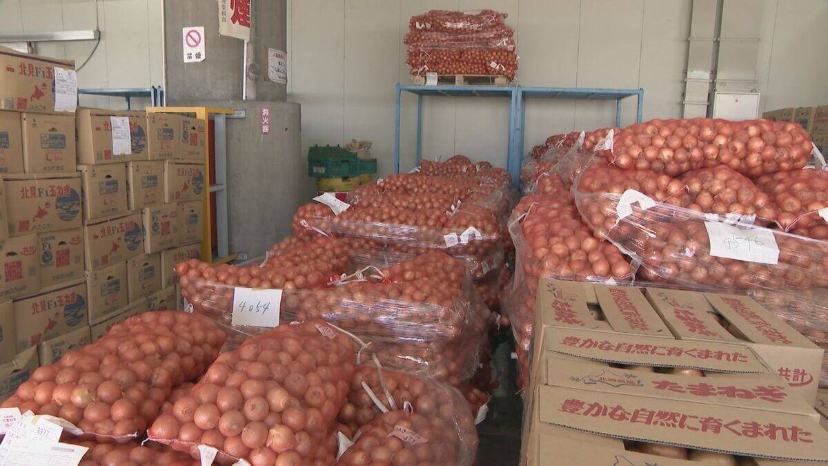 野菜のサイズが小ぶりに… 玉ねぎは数％しか出回らないSサイズが増加 ｢大不作｣で卸売価格6～7割増しに キャベツは昨シーズン価格高騰もことしは平年並み