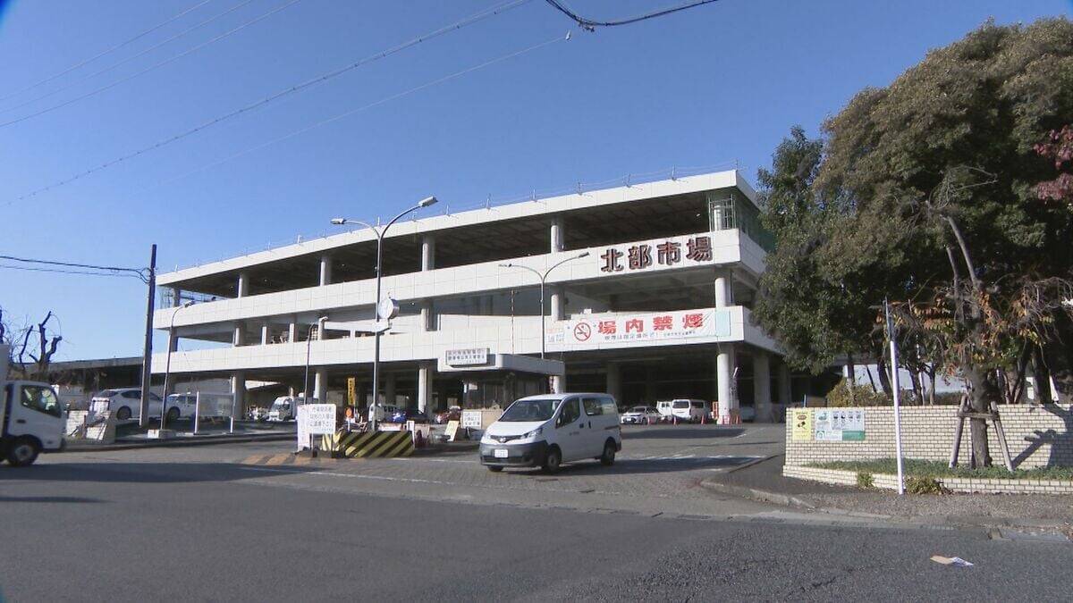 野菜のサイズが小ぶりに… 玉ねぎは数％しか出回らないSサイズが増加 ｢大不作｣で卸売価格6～7割増しに キャベツは昨シーズン価格高騰もことしは平年並み