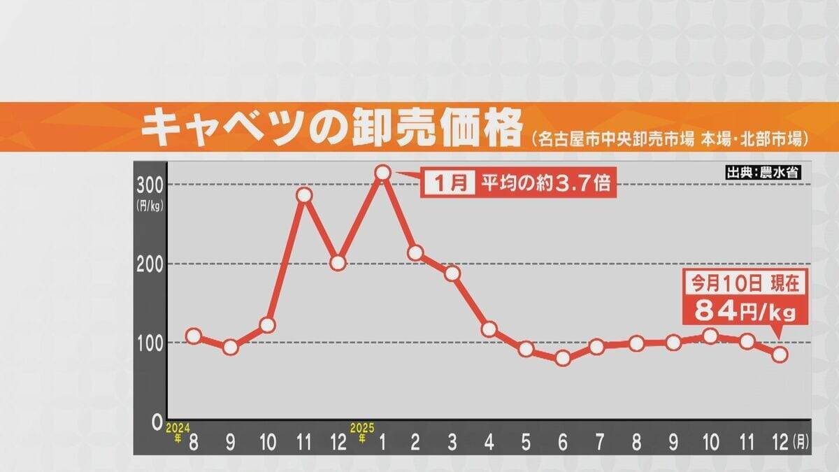 野菜のサイズが小ぶりに… 玉ねぎは数％しか出回らないSサイズが増加 ｢大不作｣で卸売価格6～7割増しに キャベツは昨シーズン価格高騰もことしは平年並み