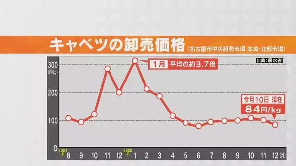 「野菜のサイズが小ぶりに… 玉ねぎは数％しか出回らないSサイズが増加 ｢大不作｣で卸売価格6～7割増しに キャベツは昨シーズン価格高騰もことしは平年並み」の画像