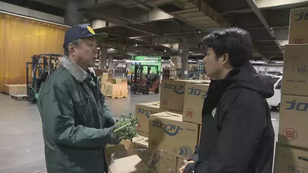 「野菜のサイズが小ぶりに… 玉ねぎは数％しか出回らないSサイズが増加 ｢大不作｣で卸売価格6～7割増しに キャベツは昨シーズン価格高騰もことしは平年並み」の画像