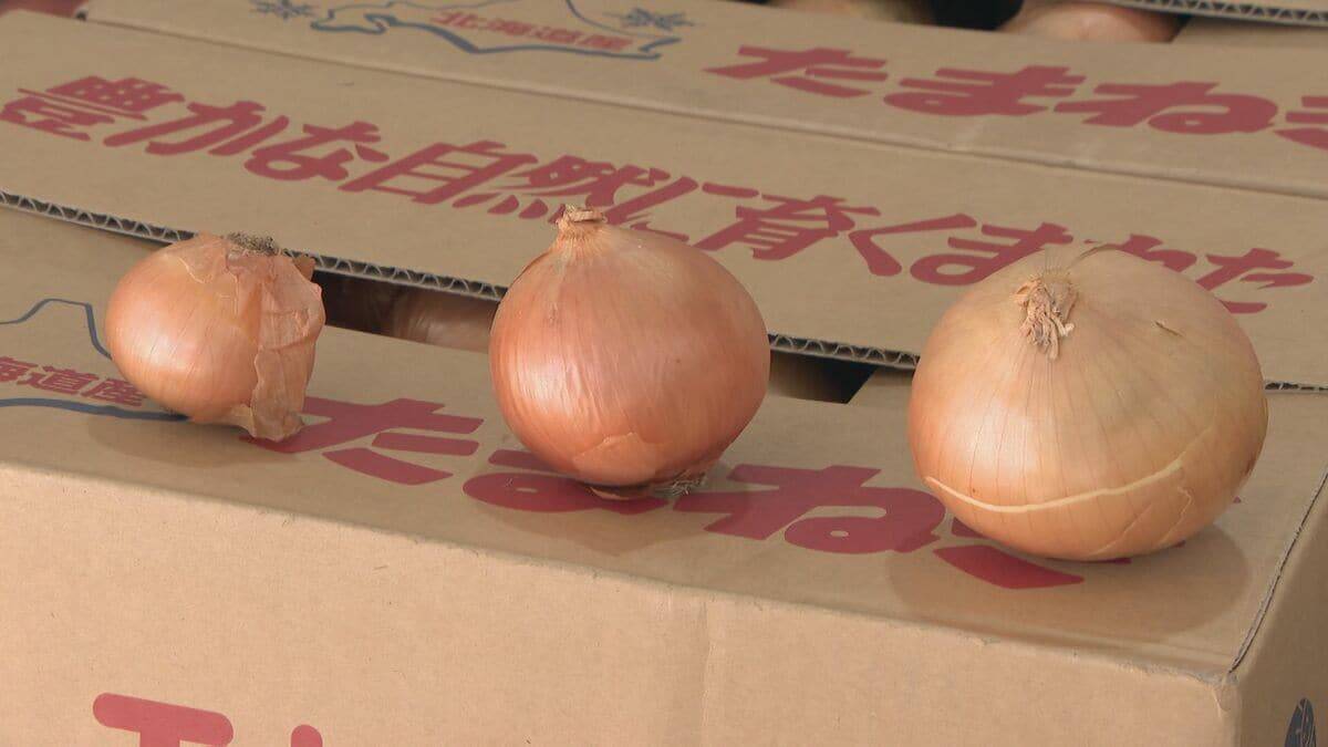 野菜のサイズが小ぶりに… 玉ねぎは数％しか出回らないSサイズが増加 ｢大不作｣で卸売価格6～7割増しに キャベツは昨シーズン価格高騰もことしは平年並み