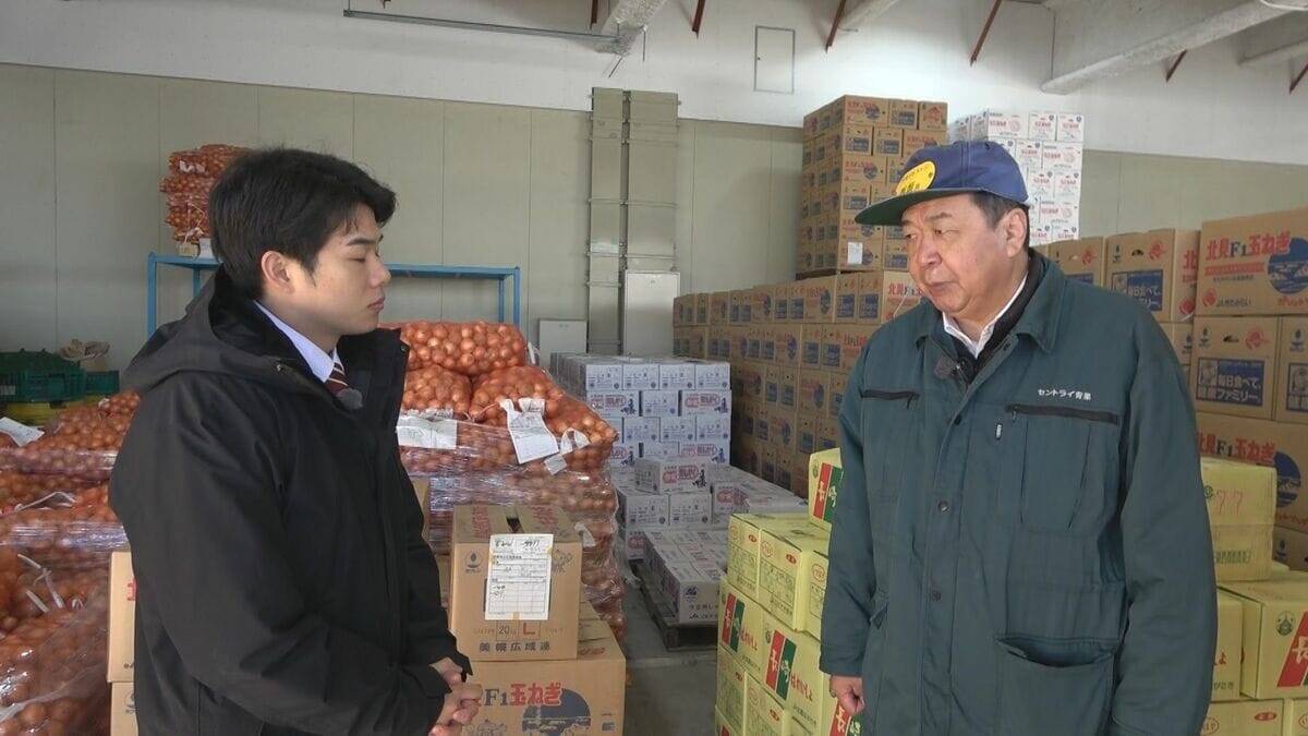 野菜のサイズが小ぶりに… 玉ねぎは数％しか出回らないSサイズが増加 ｢大不作｣で卸売価格6～7割増しに キャベツは昨シーズン価格高騰もことしは平年並み