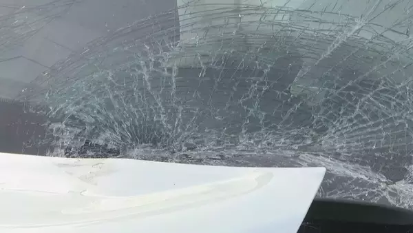 「国道を酒気帯び運転し逆走か トルコ国籍の男(66)を逮捕 バイクと乗用車に次々に正面衝突… バイクの男性(26)が死亡 愛知･豊田市」の画像