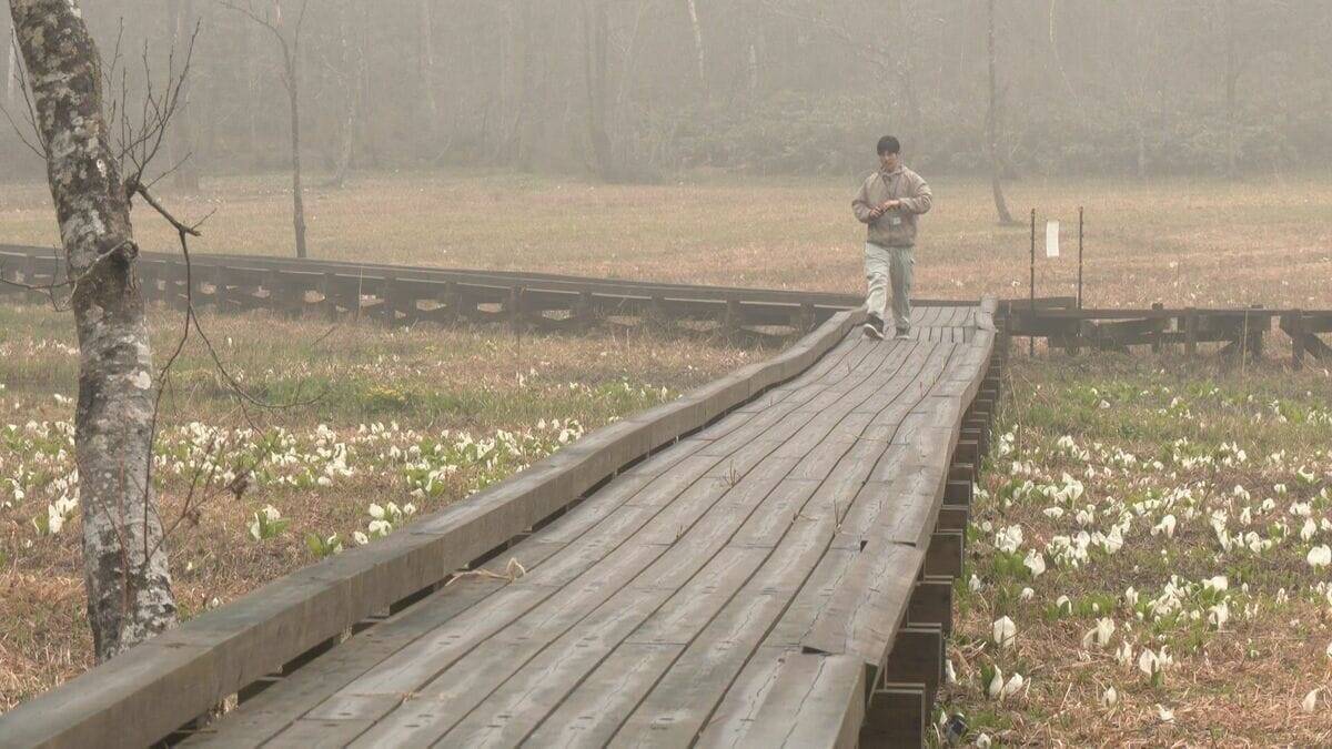 岐阜･飛騨市の人気スポット｢池ケ原湿原｣ 行楽シーズンを前に安全祈願祭 ミズバショウ間もなく見頃に