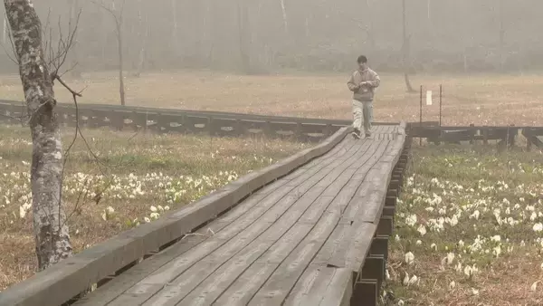 「岐阜･飛騨市の人気スポット｢池ケ原湿原｣ 行楽シーズンを前に安全祈願祭 ミズバショウ間もなく見頃に」の画像