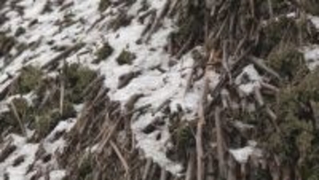 岐阜･高山の市街地周辺で初雪 白川郷はうっすら雪化粧 東海地方は今季一番の冷え込みで12月並みの寒さに