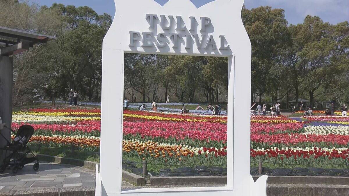 色とりどりのチューリップ 今年の見どころは｢川の流れをイメージした大花壇｣ 岐阜･海津市
