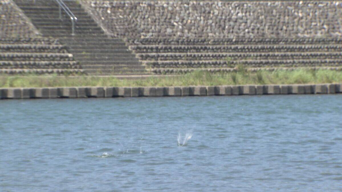 長良川で「水切り大会」全国各地から猛者が集結 最高記録は一体…？