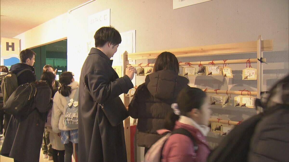 新年の干支「午」とかけましてイセエビと解きます…鳥羽水族館で「ウマ」い新春イベント タツノオトシゴも 三重