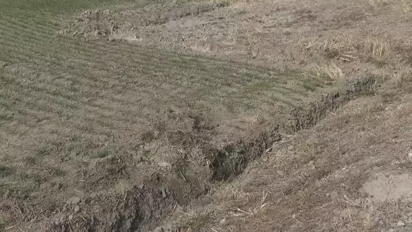 「軽トラックと乗用車が出合い頭に衝突 はずみで2台とも田んぼへ… 軽トラックの82歳男性が死亡 愛知･飛島村」の画像