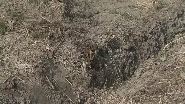 「軽トラックと乗用車が出合い頭に衝突 はずみで2台とも田んぼへ… 軽トラックの82歳男性が死亡 愛知･飛島村」の画像