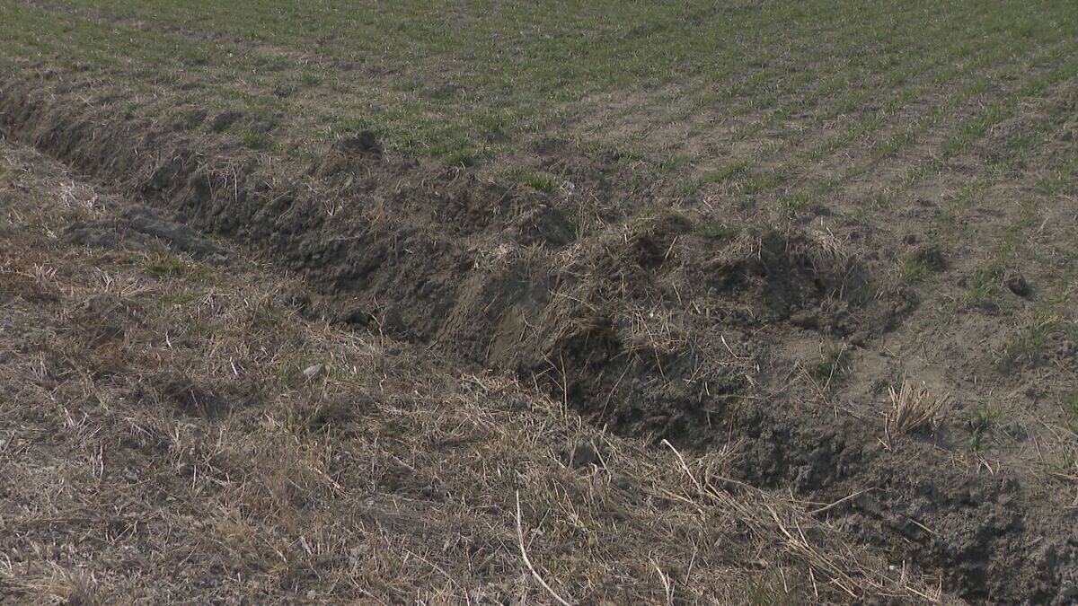 軽トラックと乗用車が出合い頭に衝突 はずみで2台とも田んぼへ… 軽トラックの82歳男性が死亡 愛知･飛島村