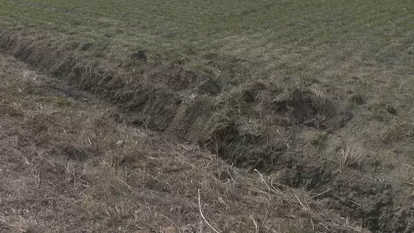 「軽トラックと乗用車が出合い頭に衝突 はずみで2台とも田んぼへ… 軽トラックの82歳男性が死亡 愛知･飛島村」の画像