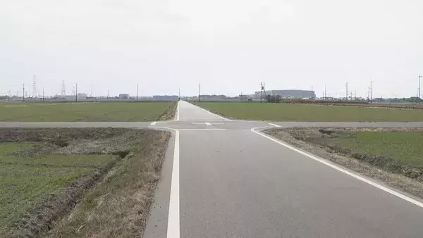 「軽トラックと乗用車が出合い頭に衝突 はずみで2台とも田んぼへ… 軽トラックの82歳男性が死亡 愛知･飛島村」の画像