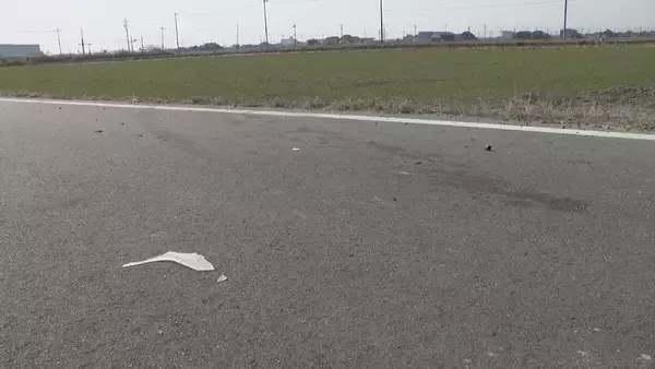 「軽トラックと乗用車が出合い頭に衝突 はずみで2台とも田んぼへ… 軽トラックの82歳男性が死亡 愛知･飛島村」の画像