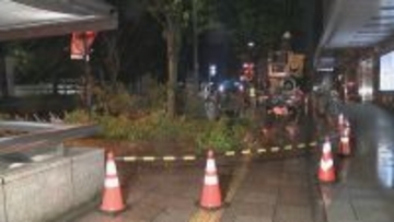 名古屋･栄の倒木 樹木医｢根元が腐っている｣ 高さ約15ｍのケヤキ ｢今回は人的被害なかったが…｣