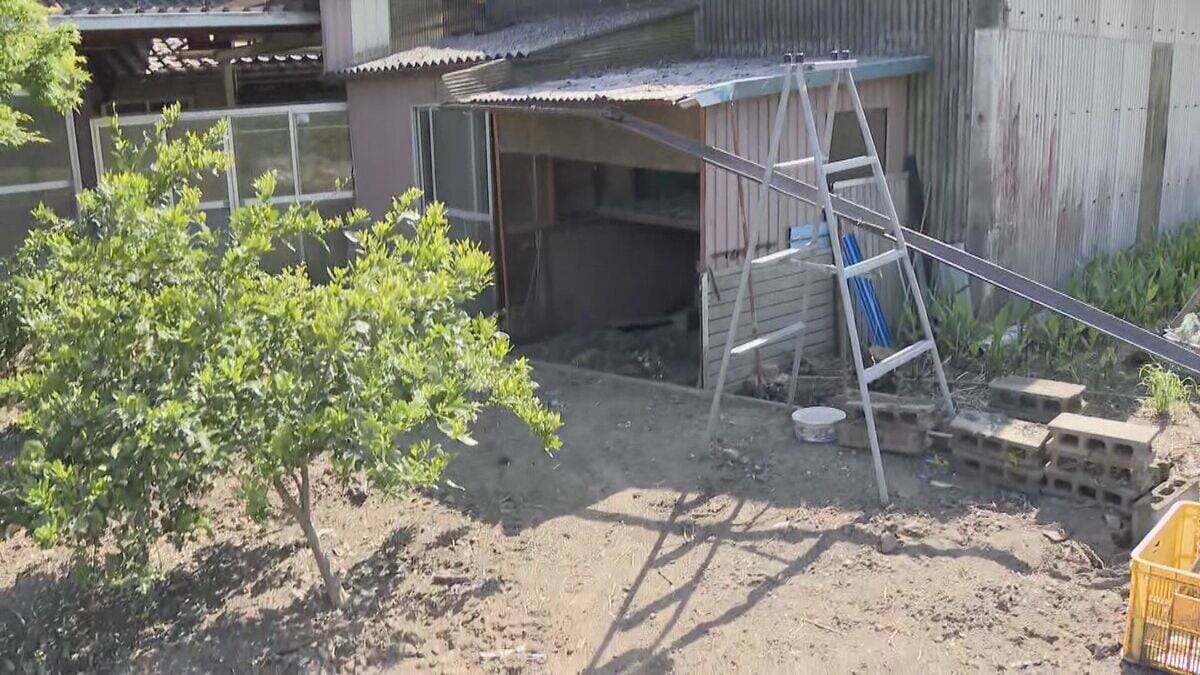 クマに襲われたか ニワトリ4羽が庭で死ぬ ｢エサをやろうと開けたら羽がぶわーっと｣ 岐阜･関市でクマの目撃情報相次ぐ