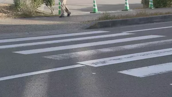「車は減速せず横断歩道に進入か 歩いて渡っていた女性がひき逃げされ意識不明の重体 愛知･東浦町」の画像