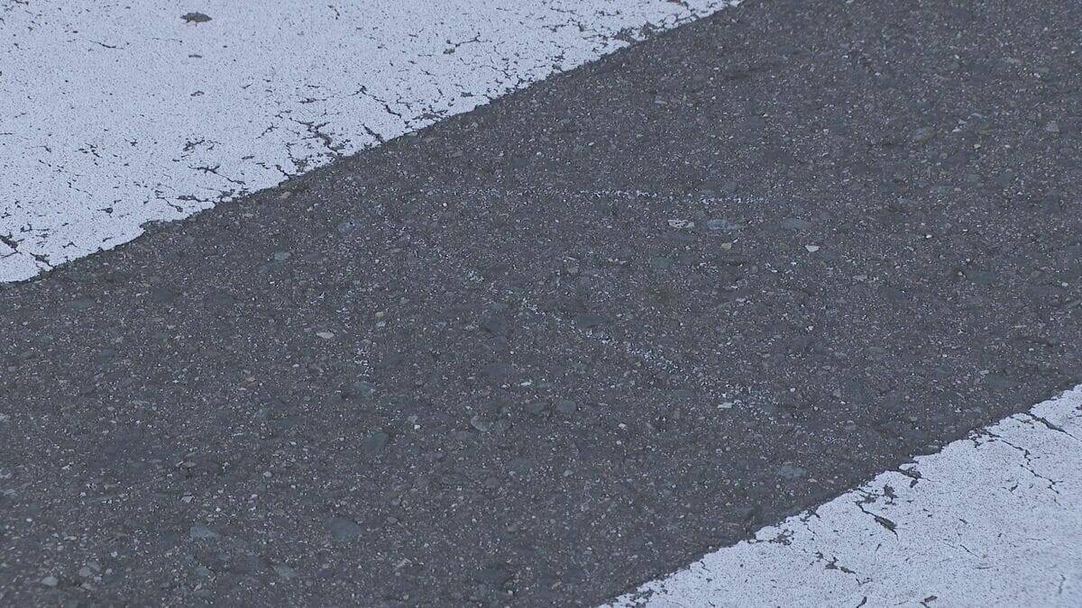 車は減速せず横断歩道に進入か 歩いて渡っていた女性がひき逃げされ意識不明の重体 愛知･東浦町