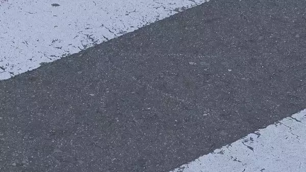 「車は減速せず横断歩道に進入か 歩いて渡っていた女性がひき逃げされ意識不明の重体 愛知･東浦町」の画像