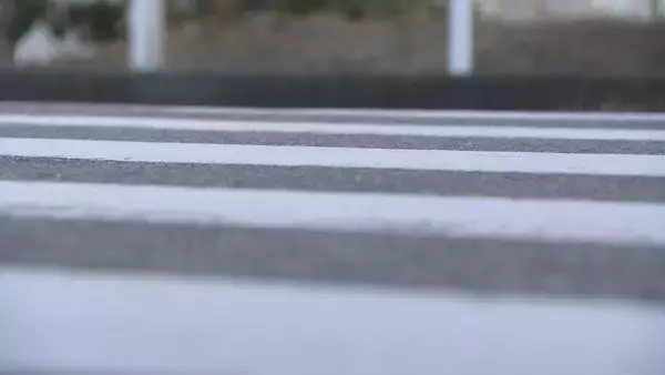 「車は減速せず横断歩道に進入か 歩いて渡っていた女性がひき逃げされ意識不明の重体 愛知･東浦町」の画像