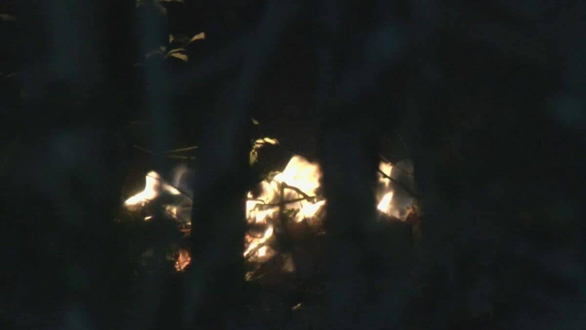 【速報】「山で炎が上がっている」愛知・岡崎市の産業廃棄物を扱う工場で火事　火は付近の山に燃え広がる　出火から約7時間後にほぼ消し止められる