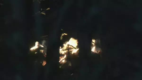 「【速報】「山で炎が上がっている」愛知・岡崎市の産業廃棄物を扱う工場で火事　火は付近の山に燃え広がる　火は午前5時半過ぎにほぼ消し止められる」の画像