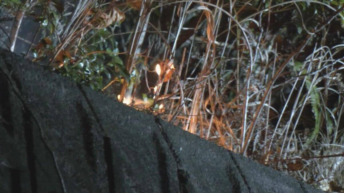 【速報】「山で炎が上がっている」愛知・岡崎市の産業廃棄物を扱う工場で火事　火は付近の山に燃え広がる　出火から約7時間後にほぼ消し止められる