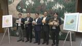 「愛知･田原市産のメロンをシンガポールに！1玉1500円～2000円ほどで販売予定 国内消費伸び悩み…｢新しい可能性｣」の画像2