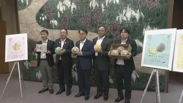 「愛知･田原市産のメロンをシンガポールに！1玉1500円～2000円ほどで販売予定 国内消費伸び悩み…｢新しい可能性｣」の画像
