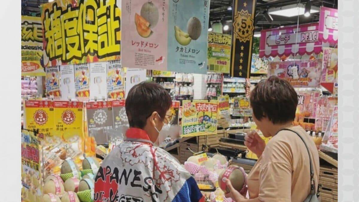 愛知･田原市産のメロンをシンガポールに！1玉1500円～2000円ほどで販売予定 国内消費伸び悩み…｢新しい可能性｣